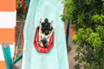 Royal Garden Resort & Waterpark <br>₹675 - Image 5